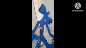 мягкий сиреноголовый у меня но подоконеке