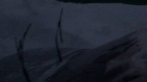 Мопеды сериал | Серия 1768