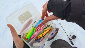 За хищником в глухозимье.. Виб или Балансир? АВАНТЮРНАЯ зимняя рыбалка