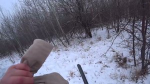 Охота на зайца и лису первый снег, сезон 2025-2026 №229