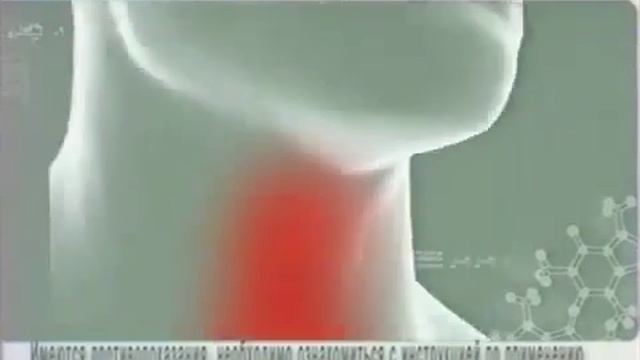 Рекламные блоки и анонсы (ТНТ, 27.02.2010) смотреть онлайн