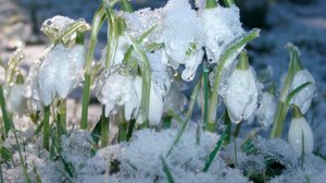 СП Добиваю недовязы 5/2026 Отчёт 9 с Мариной Стоговой