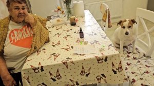 Сытники- Долли съела барана.