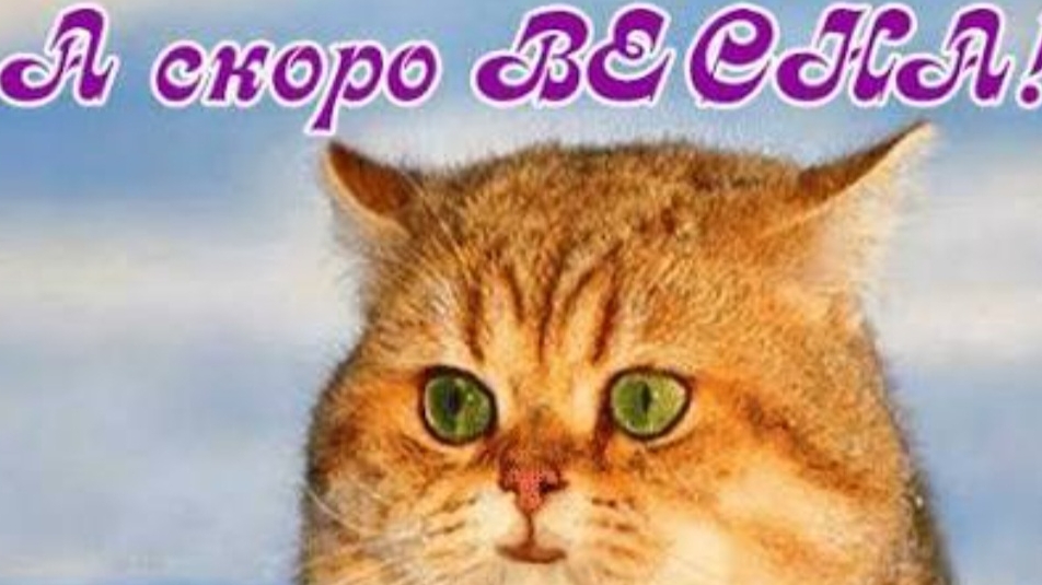 СП Вязальный переполох А Скоро Весна !!! Отчёт Февраль 2 с Еленой Велиной смотреть онлайн