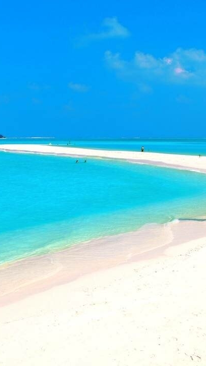 KISS ME - $ FALSE VACUUM DECAY $ - ТРЕВОЖНАЯ