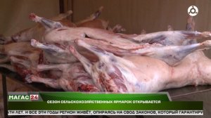 В Ингушетии открывается сезон сельхозярмарок