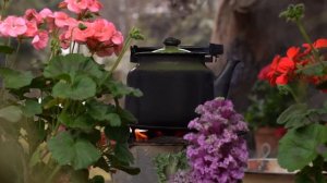 Kənd Həyatı. Долгосрочное хранение яблок.