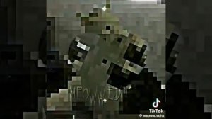 кот плей ( ВСЕ ВИДЕО ИЗ ТИК ТОКА!!!!!)