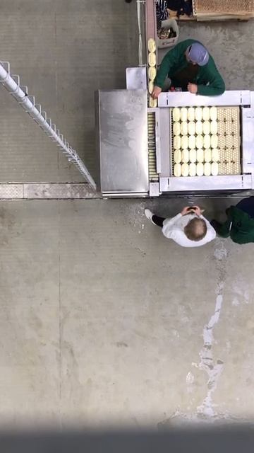 Полуавтоматический рядный загрузчик корзин автоклава смотреть онлайн