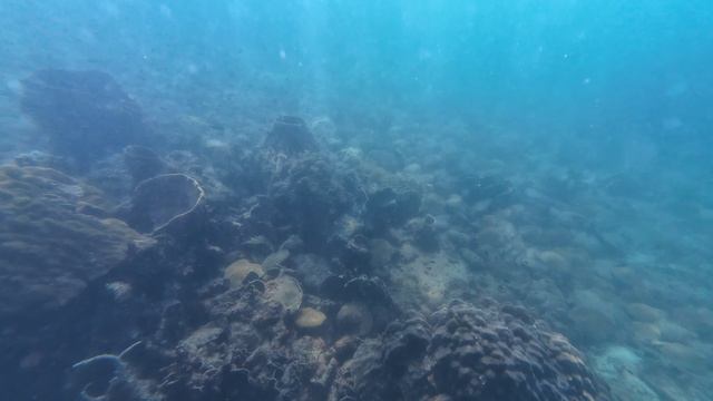 Остров Ко Ронг(Koh Rong), Снорклинг - камни. Декабрь 2025. Камбоджа. смотреть онлайн