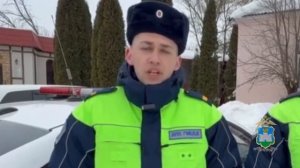 В Орле инспекторы ДПС ищут хозяина для спасённого ими пса, найденного с травмами на обочине дороги