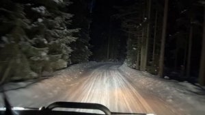 В лесу у Ладоги. Февраль 2026