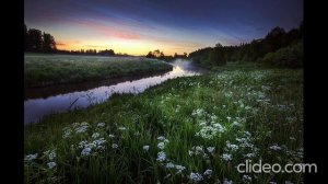 Ночная мелодия