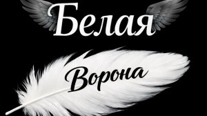 Белая ворона | Авторская песня