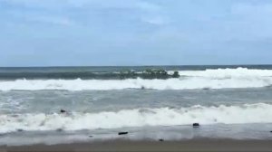 Беженец🇮🇩Бали. ДЕШЕВАЯ И ДОРОГАЯ ШАУРМА-НИКАКОЙ РАЗНИЦЫ! С КЕМ ПОЕДУ НА ЭЛЕКТРОМАШИНЕ В СУББОТУ