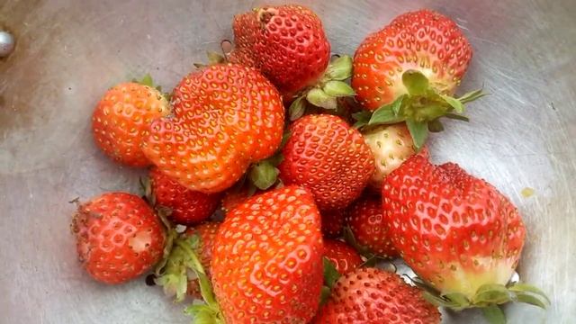 22 октября 2023 г. смотреть онлайн