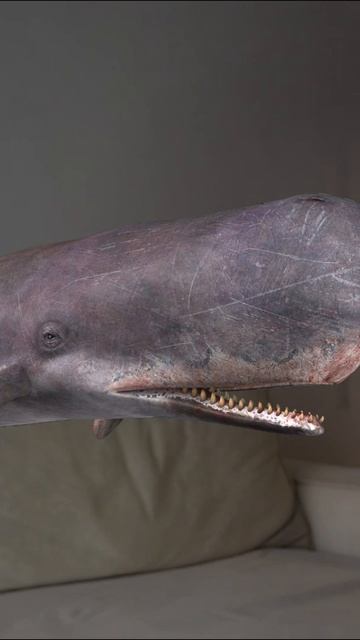 СТРАННЫЕ ИНГРИДИЕНТЫ ДУХОВ