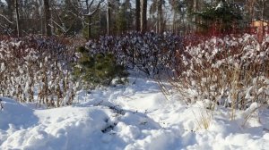 ТЫ У МЕНЯ ТАКАЯ ОДНА (авторская песня)