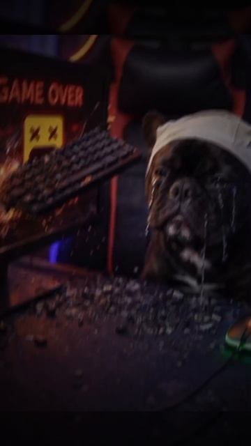 очень грустная история😭😭😭😭