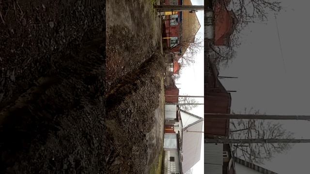 19 апреля 2024 г. смотреть онлайн