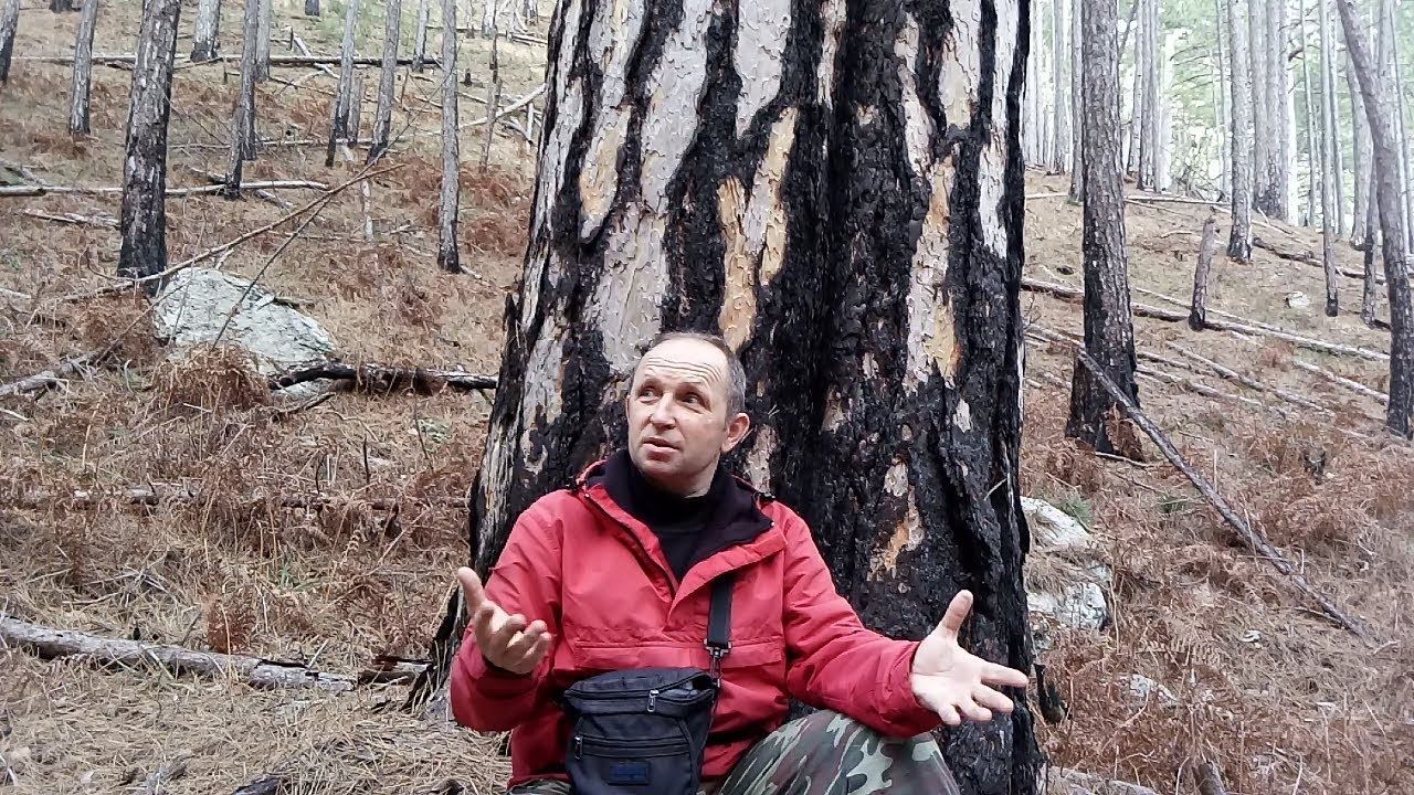 Кадры, не вошедшие в фильмы - 10