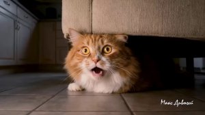 Кoт и Инoплaнeтянe [ai клип]