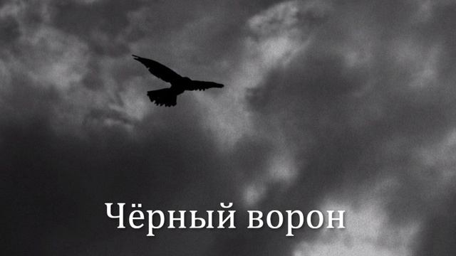 Чёрный ворона Remix