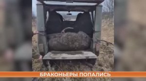 Браконьеры попались