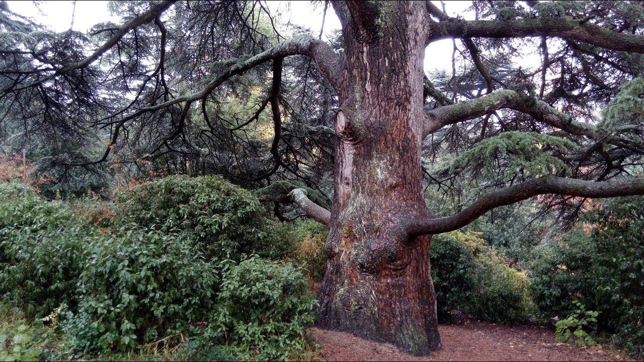 Мир стихий. Дружите с дождём!