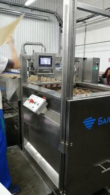 Полуавтоматический послойный загрузчик корзин автоклава смотреть онлайн