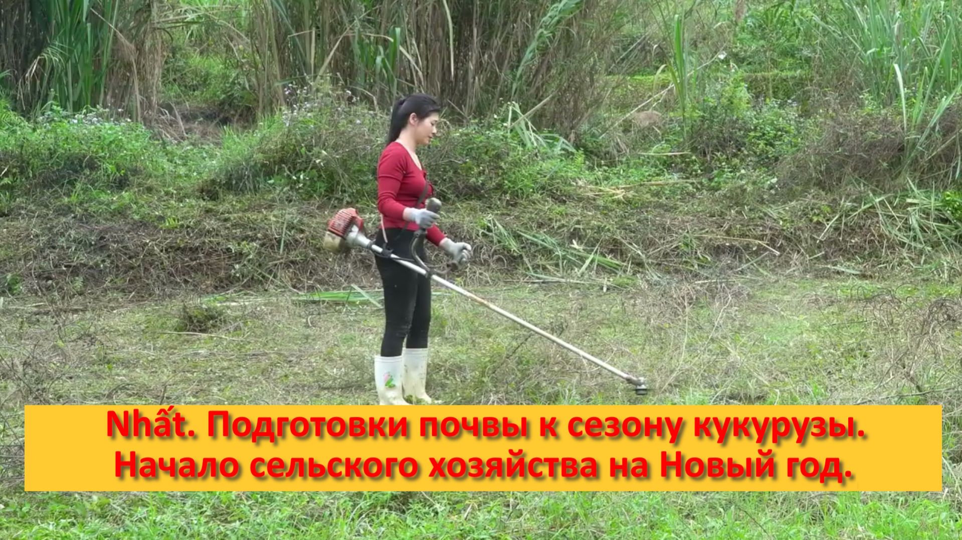 Nhất. Подготовка почвы к сезону свежей новой кукурузы . Начало сельского хозяйства на Новый год. смотреть онлайн