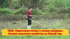 Nhất. Подготовка почвы к сезону свежей новой кукурузы . Начало сельского хозяйства на Новый год.