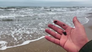 Дюны 🌞 море 🌊 и мазут 🛢️ // Анапа, пляж София 🏖️, Альбатрос 🕊️ тест смартфона 📱(снято 4К)