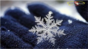 ❄️"Глупые снежинки"❄️ /Neiravox/ ♫ 💥💥💥(Ласковый Май ) 💥The Natural World /Bayern/