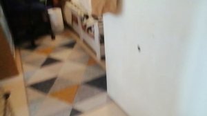 Я не могу заснять СКРИМЕРЫ 2