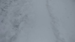 ДВИЖЕНИЕ ЭТО ЖИЗНЬ... КОГДА ТЫ ДЕЙСТВИТЕЛЬНО ЧЕГО ТО ХОЧЕШЬ ДОБИТСЯ, ПРОСТО НЕ ДОЛЖНО БЫТЬ ПРЕГРАД..