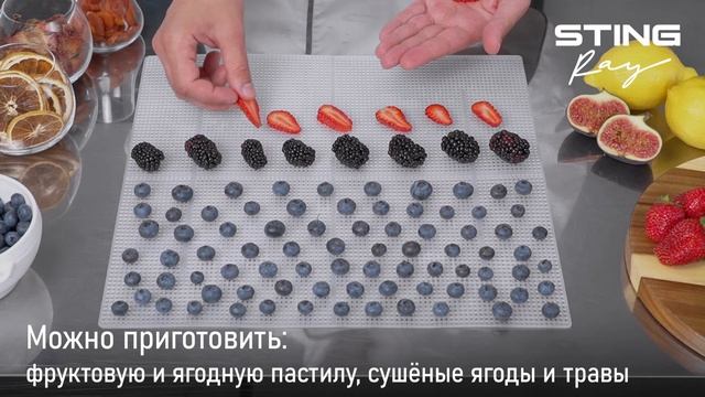 Электросушилка STINGRAY ST-FD736B