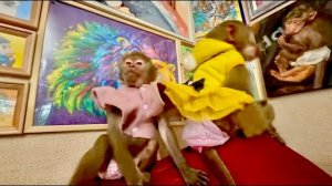 Маня чуть не СНЕСЛА мне голову, потом ДОСТАЛА кота и попугая, а Кеша просто КИНУЛСЯ на Влада!