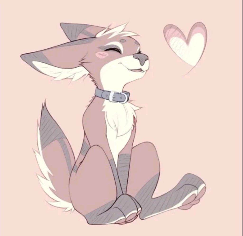 продолжение трансляции!!💓✨💓 смотреть онлайн