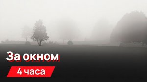 Звуки для соседей - за окном