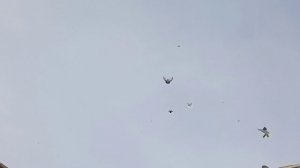 Гоняем голубей после ярмарки 0).mp4