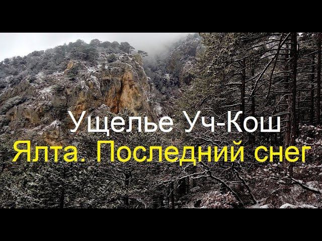 Ялта. Последний снег. Ущелье Уч-Кош