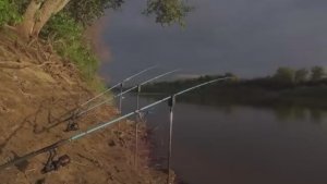 КОНЕЦ ЗАПРЕТУ В АСТРАХАНИ! СОМ И САЗАН НА ДОНКИ С БЕРЕГА! Рыбалка в Астрахани 2025