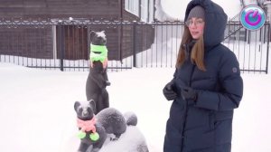 Путешествия по России. Главные достопримечательности города Енисейск