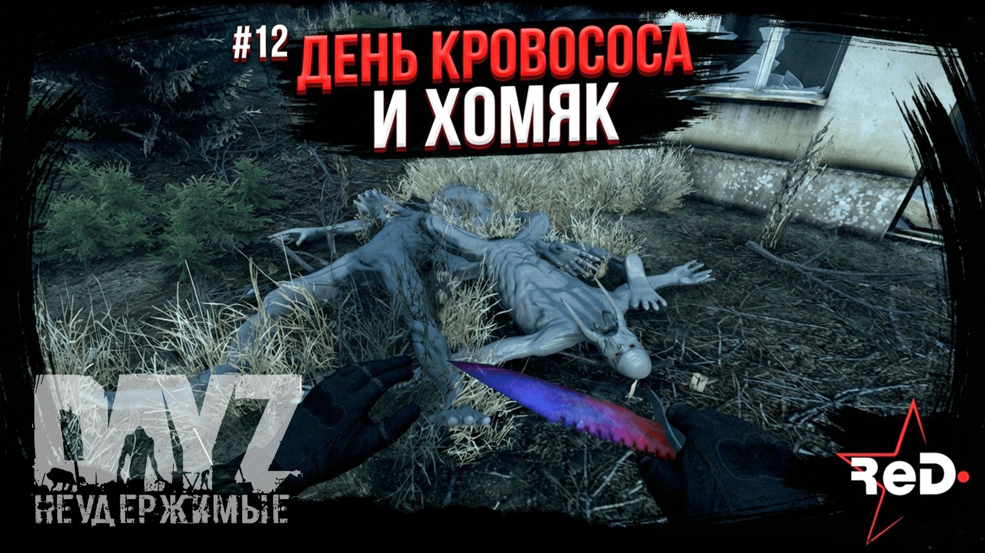 ⭐ #Dayz #НЕУДЕРЖИМЫЕ #12 -ДЕНЬ КРОВОСОСА И ХОМЯК - ANOMALSK PvE Noer