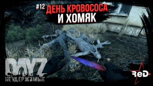 ⭐ #Dayz #НЕУДЕРЖИМЫЕ #12 -ДЕНЬ КРОВОСОСА И ХОМЯК - ANOMALSK PvE Noer