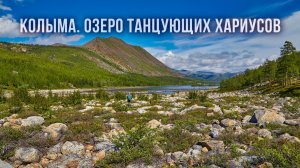 Красоты Колымы. Озеро Танцующих хариусов. Когда стоял мост