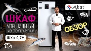 Обзор шкаф морозильного низкотемпературного Abat ШХн-0,7М