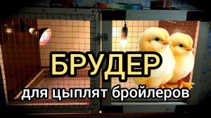 Брудер для цыплят бройлеров своими руками. Часть 2 / Шашлык на 23 февраля.
