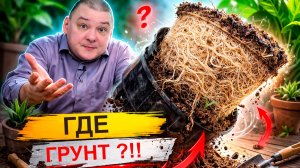 Куда исчезает грунт из горшка с растением?!